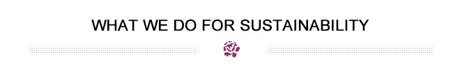 WHAT WE DO FOR Sustainability
